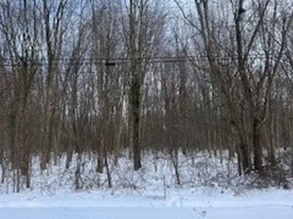 Walter Main Rd, Geneva, OH 44041