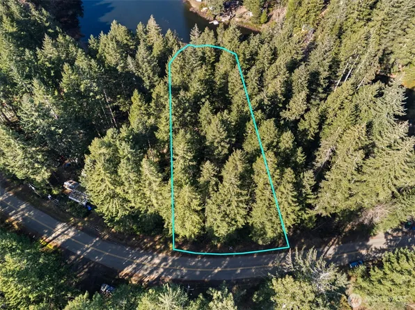 431 NE Collins Lake Drive, Tahuya, WA 98588