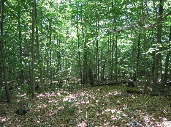 3rd image of 4240 State Route 28