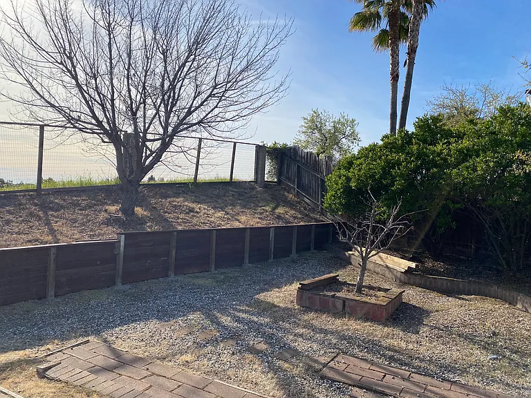 Rear Yard