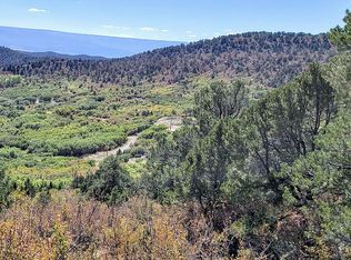 20509 Kimball Creek Rd, Collbran, CO 81624