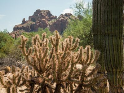 4506 E McDonald Dr Lot 2, Paradise Valley, AZ, 85253