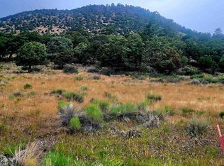531 Bear Creek Circle, South Fork, CO 81154