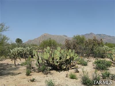 3rd image of 6869 N Maria Pl