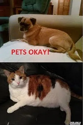 Sold by Benjamin Realty Since 1980 | media 30