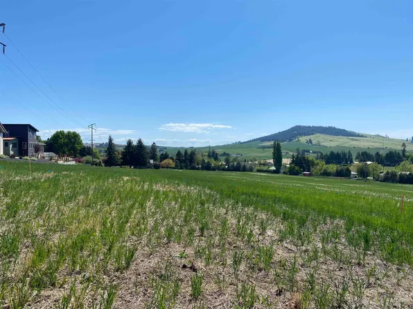 2824 Wildrose Dr, Moscow, ID 83843