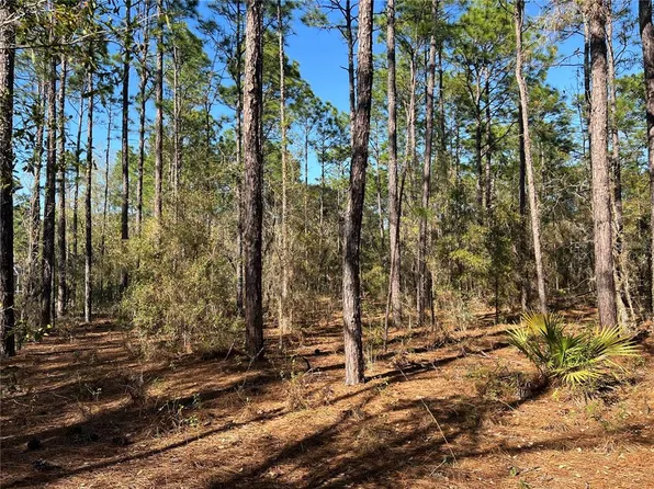 4061 N Little Dove Ter Lot 15, Hernando, FL 34442