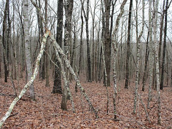 5th image of 184 Beachwood Dr Lot 36