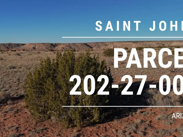 150 150 County Road N6100 -- #-, St Johns, AZ 85936