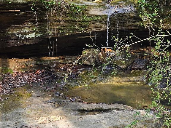 5th image of 0 Frankfort Rd