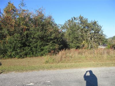 SE 17th St Lot 2, Ocklawaha, FL, 32179