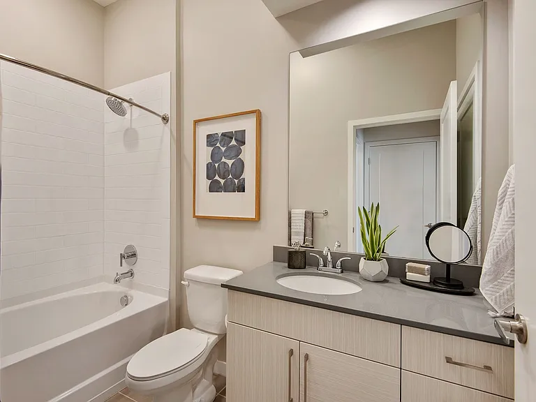 Guest Bathroom + Soaker Tub