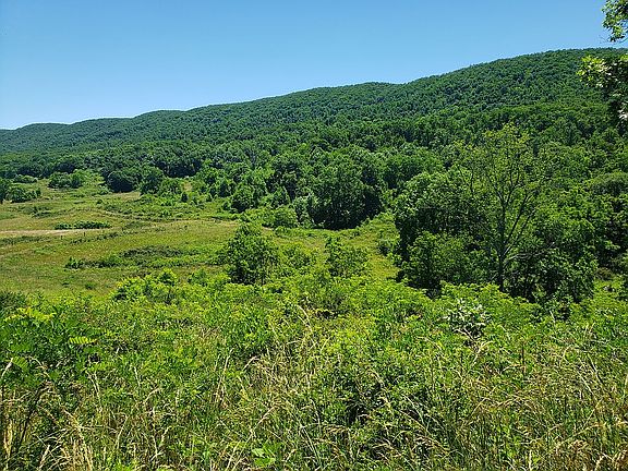 3rd image of 1696 Green Valley Rd