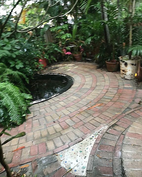 Backyard Pond