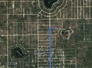 205 Wales St, Interlachen, FL 32148