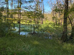 11 Highway 11 #W/S, Wallace, NC 28466