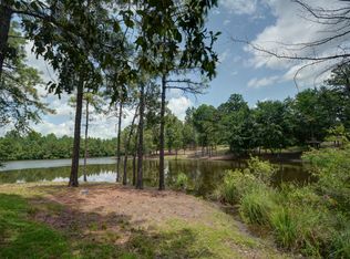 54 Swallowtail Ct, Columbia, SC 29229