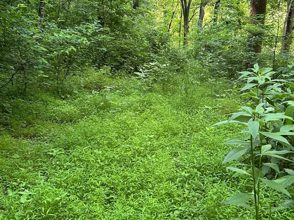 0 Sugar Run, Littleton, WV 26581