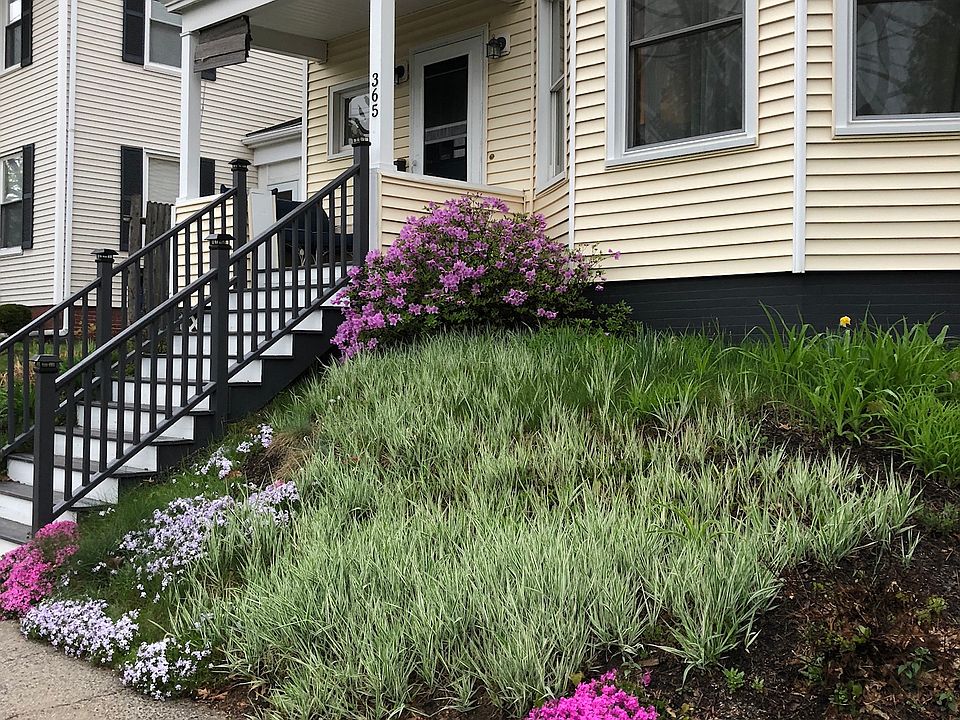 2nd image of 365 Stevens Ave