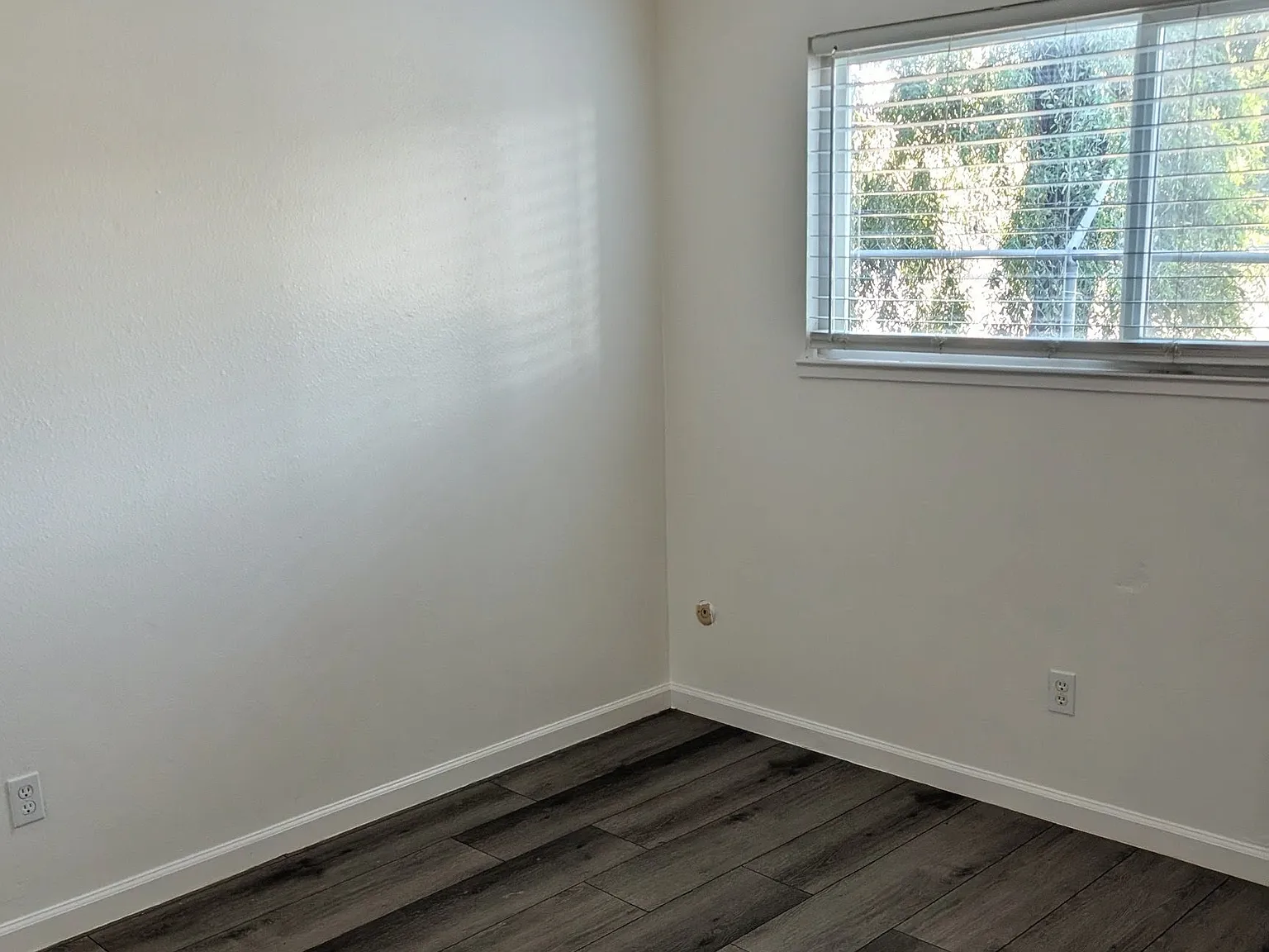 2 bed, 750 sqft, $1,400 — Photo 3