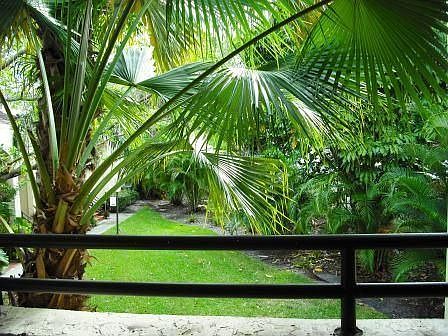 Garden View from Terrace
