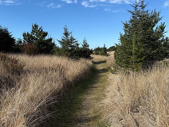 5th image of 139 xx Pacific Way