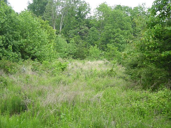 5th image of LOT 11 Stone Coal Rd