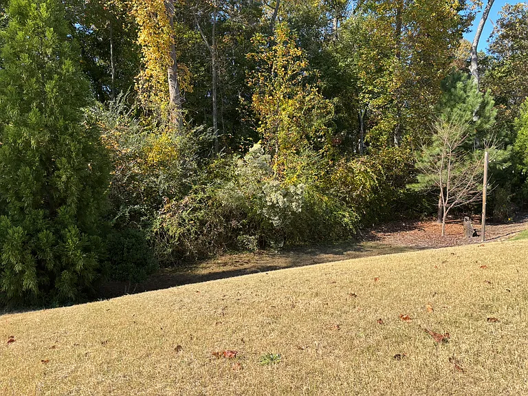 359 Summer Ranch Dr — Photo 4