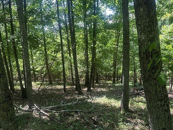2nd image of 0 Owl Ridge Way