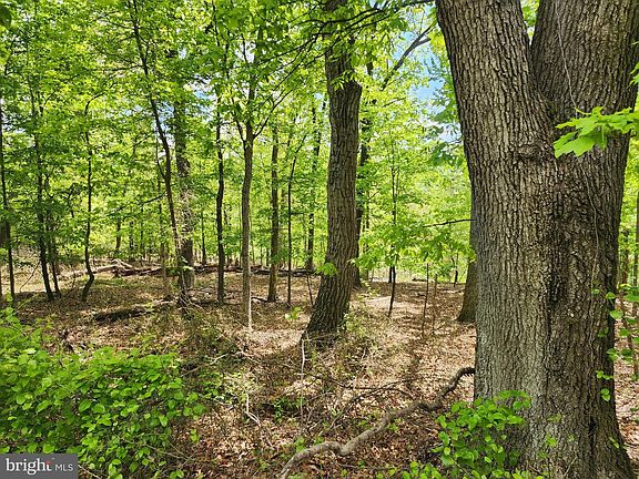 4th image of 5 Pine Grove Rd