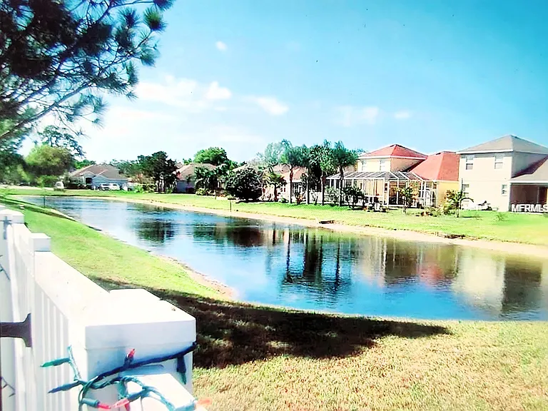 pond view from the back yard