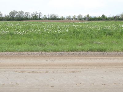 1000 E Beal City Rd, Mount Pleasant, MI, 48858