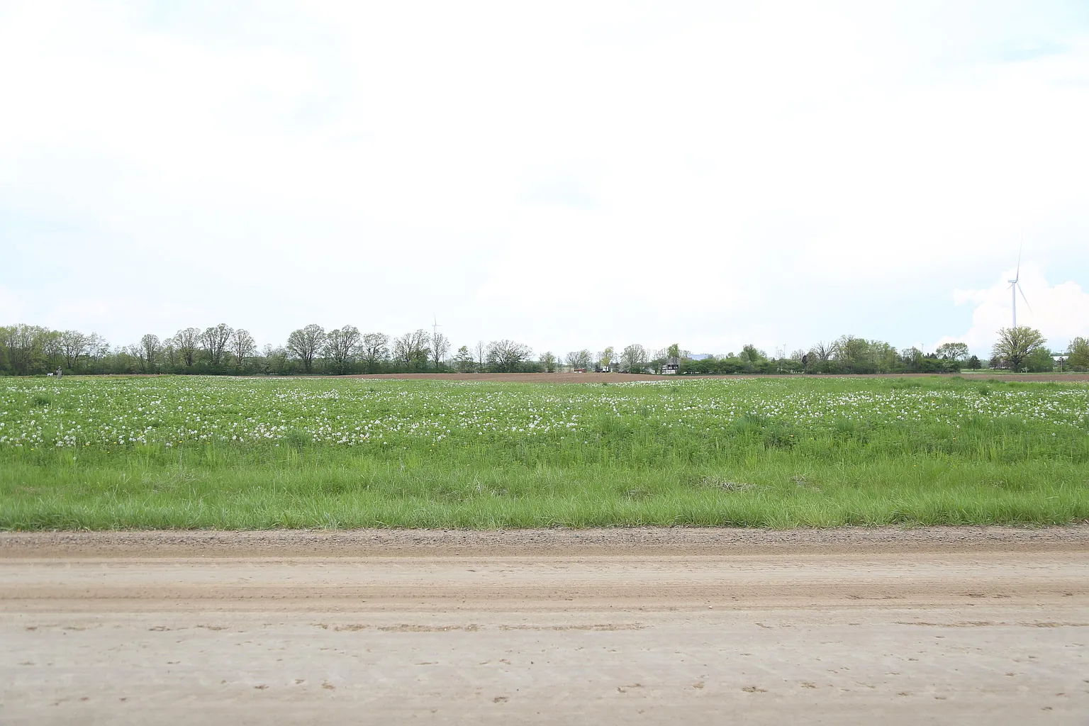 1000 E Beal City Rd photo 1