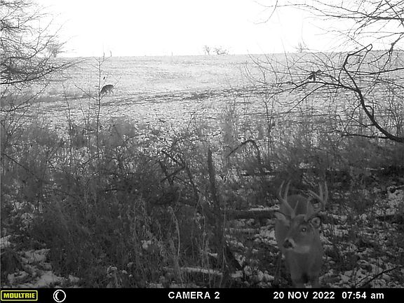 5th image of 00 143rd Ave