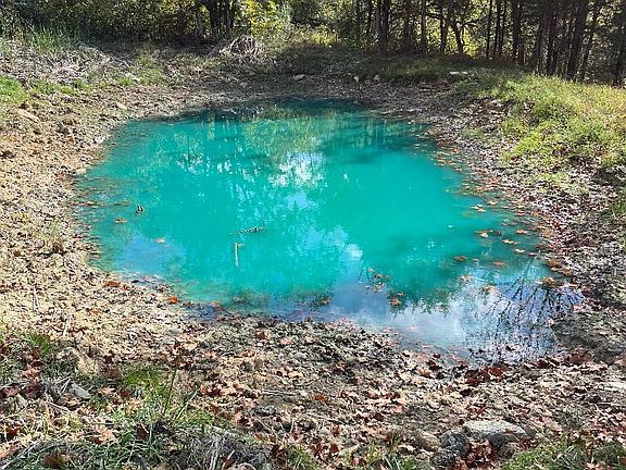 5th image of 5520 Big Twin Creek Rd