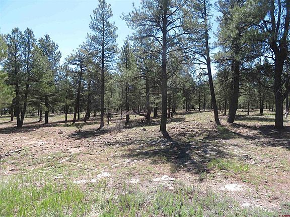 2nd image of 1445 Trails Boulevard