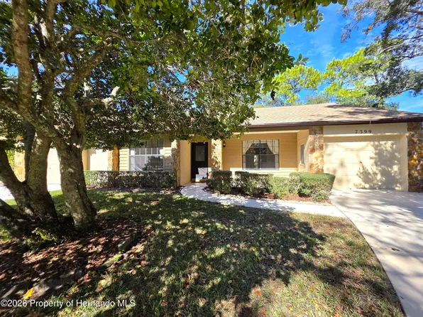 7399 Prince George Ct, Spring Hill, FL 34606