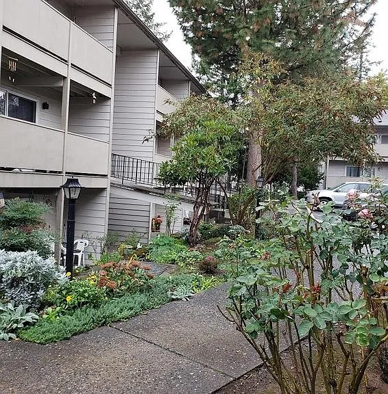 Rochelle Apartments — Photo 17