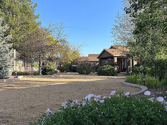 Back yard