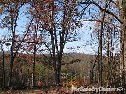 Paris Mtn Ridge from top of property