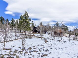 104 N Random Rd, Bailey, CO 80421
