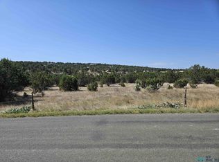 203 Long Rd, Capitan, NM 88316