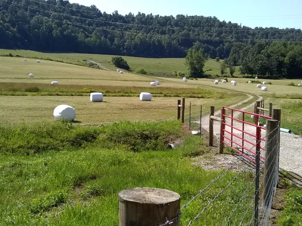 1491 Dowis Chapel Rd, Woodbine, KY 40771