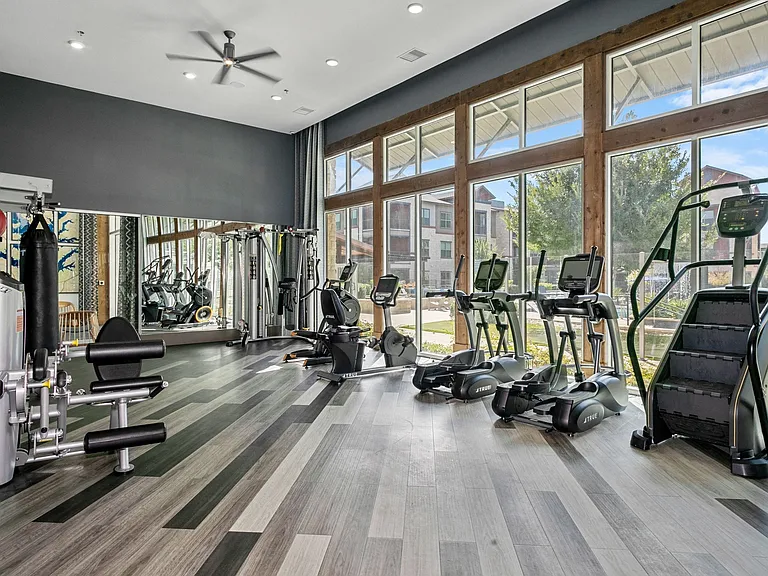 A variety of weights and equipment for all your fitness needs