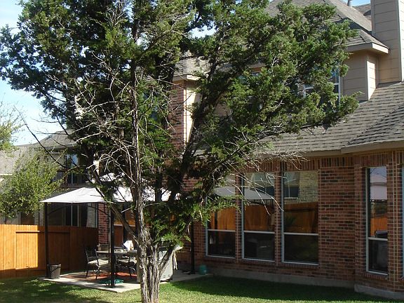 Back of house/yard