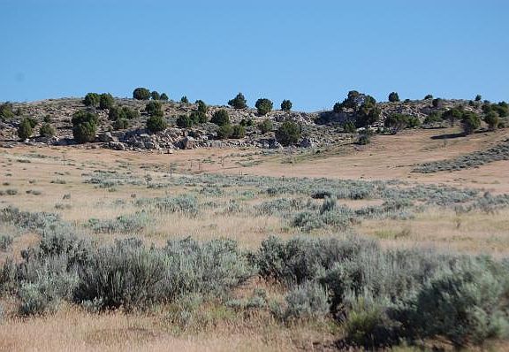5th image of 24319 County Road 17