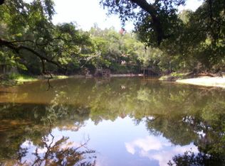 20024 NW Jessie Lee Rd, Altha, FL 32421