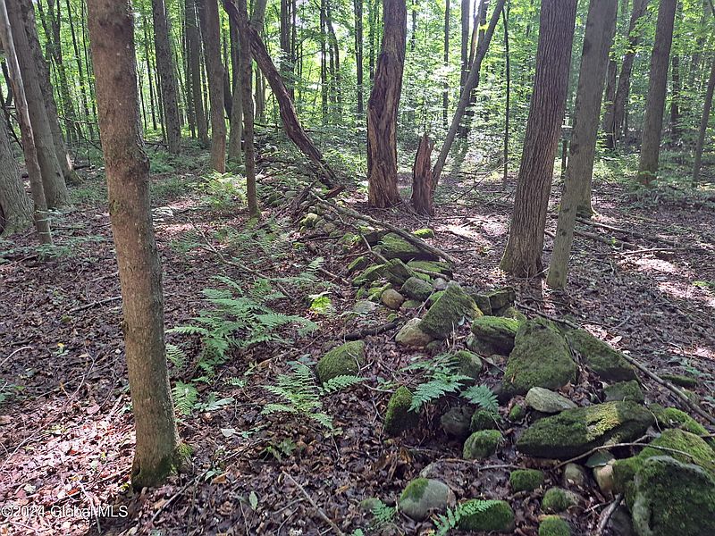 4th image of L72.141 Consaul Road