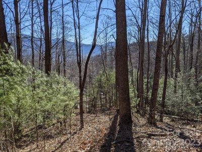 0 Dryid Hill Rd, Swannanoa, NC, 28778