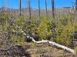 Lot 1460 Von Heyl Lane, Fort Garland, CO 81133